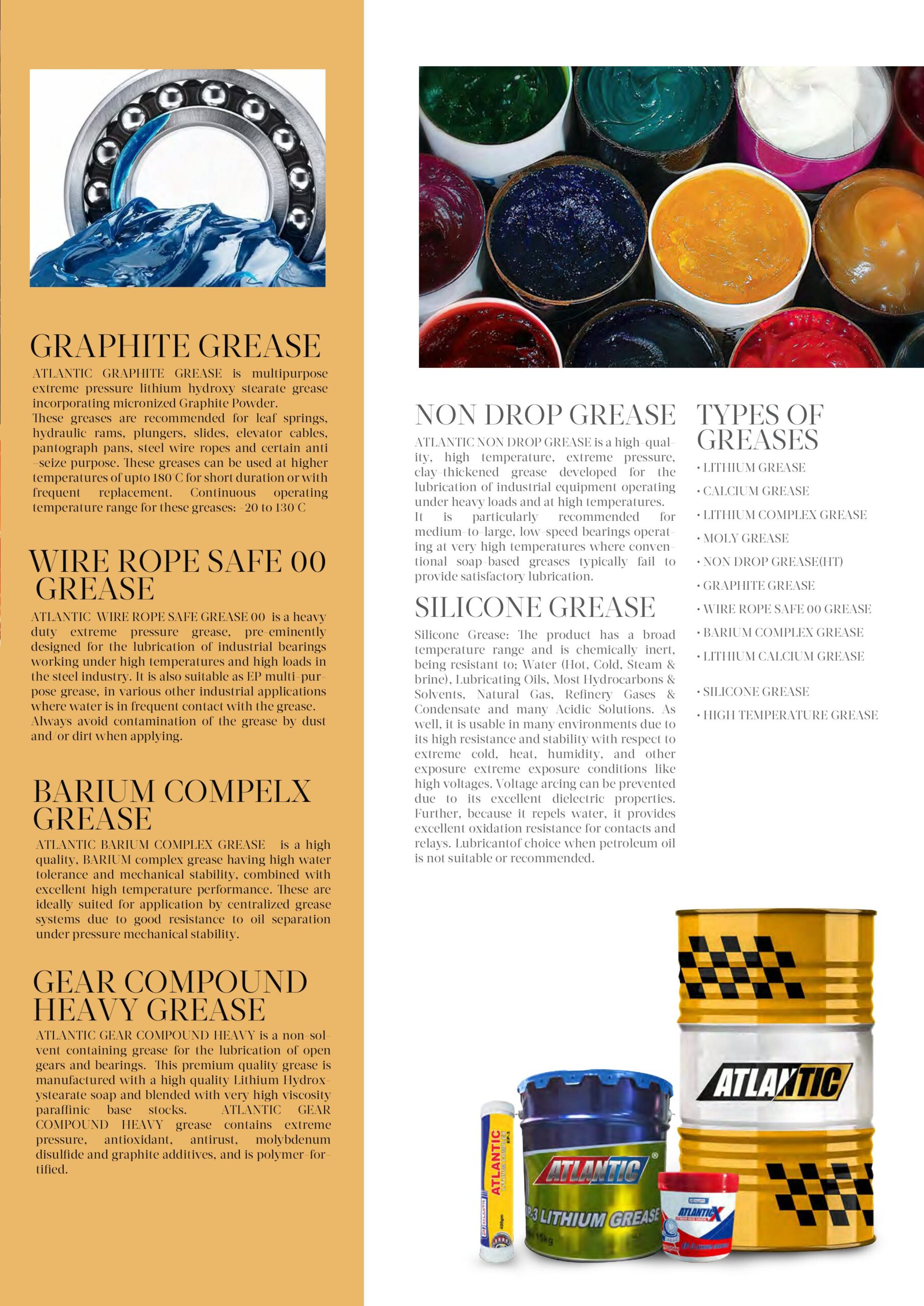 Atlantic Group of companies Magazine (1)-images-10