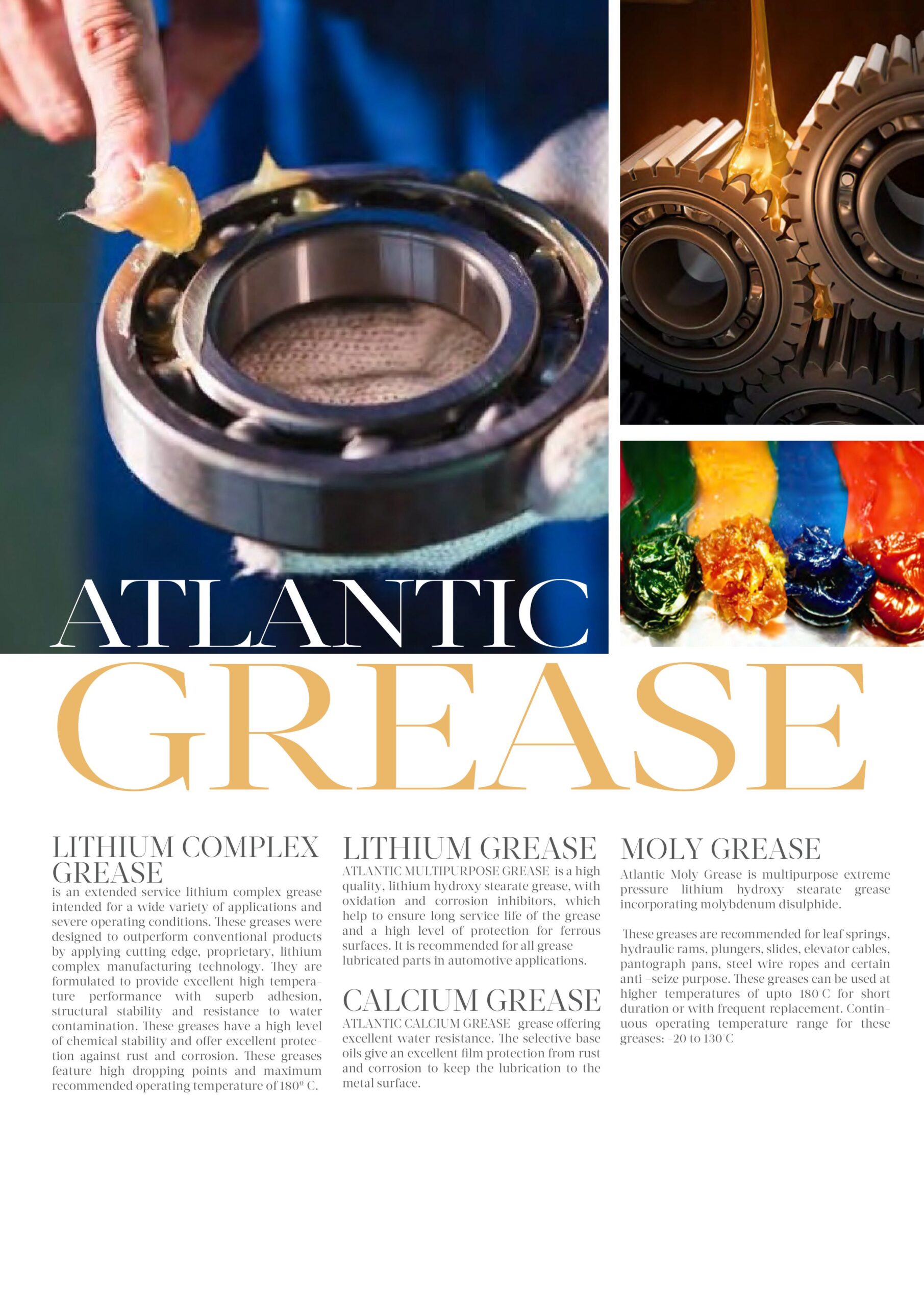 Atlantic Group of companies Magazine (1)-images-9